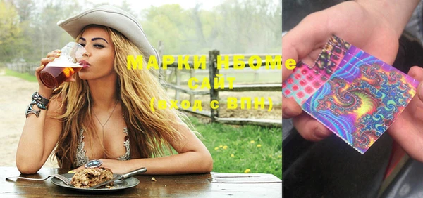 хмурый Семилуки