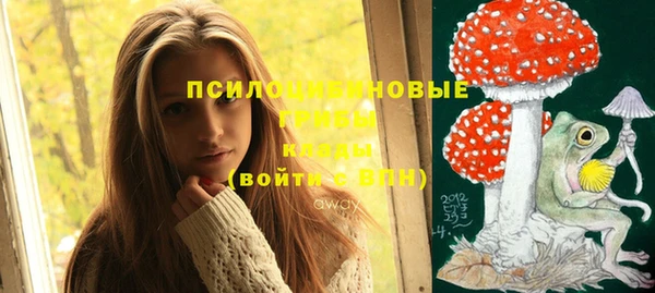 тгк Саяногорск